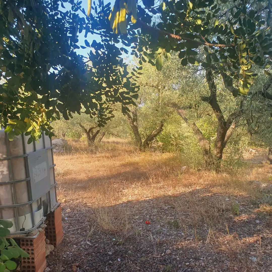 Terrain rustique à vendre à Rasquera, imagen 18