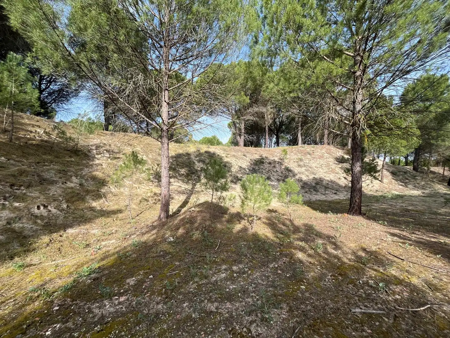 Terreno en venta en Tudela de Duero
