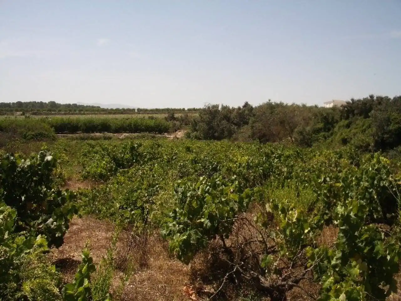 Terreno residencial en venta en Casa Marau, imagen 5