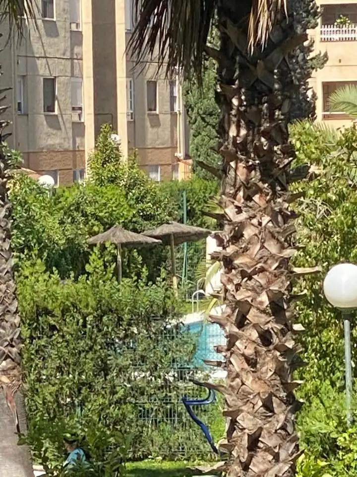 Flat for rent in La Motilla - Fuente del Rey