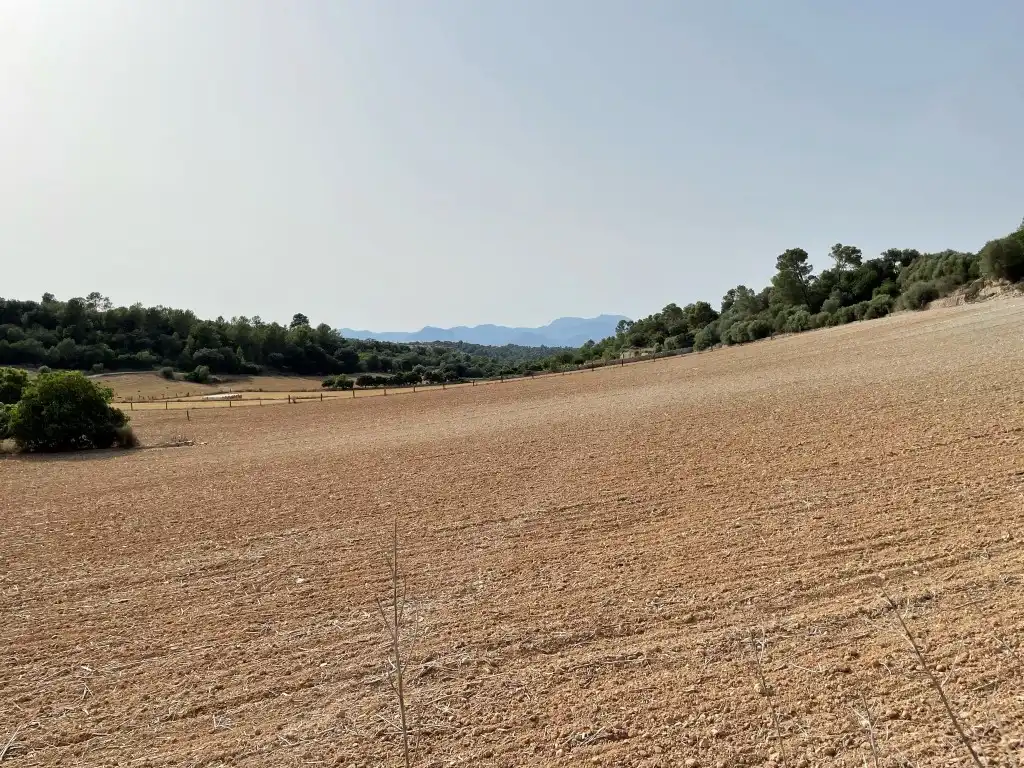 Rural land for sale in Sineu, imagen 3