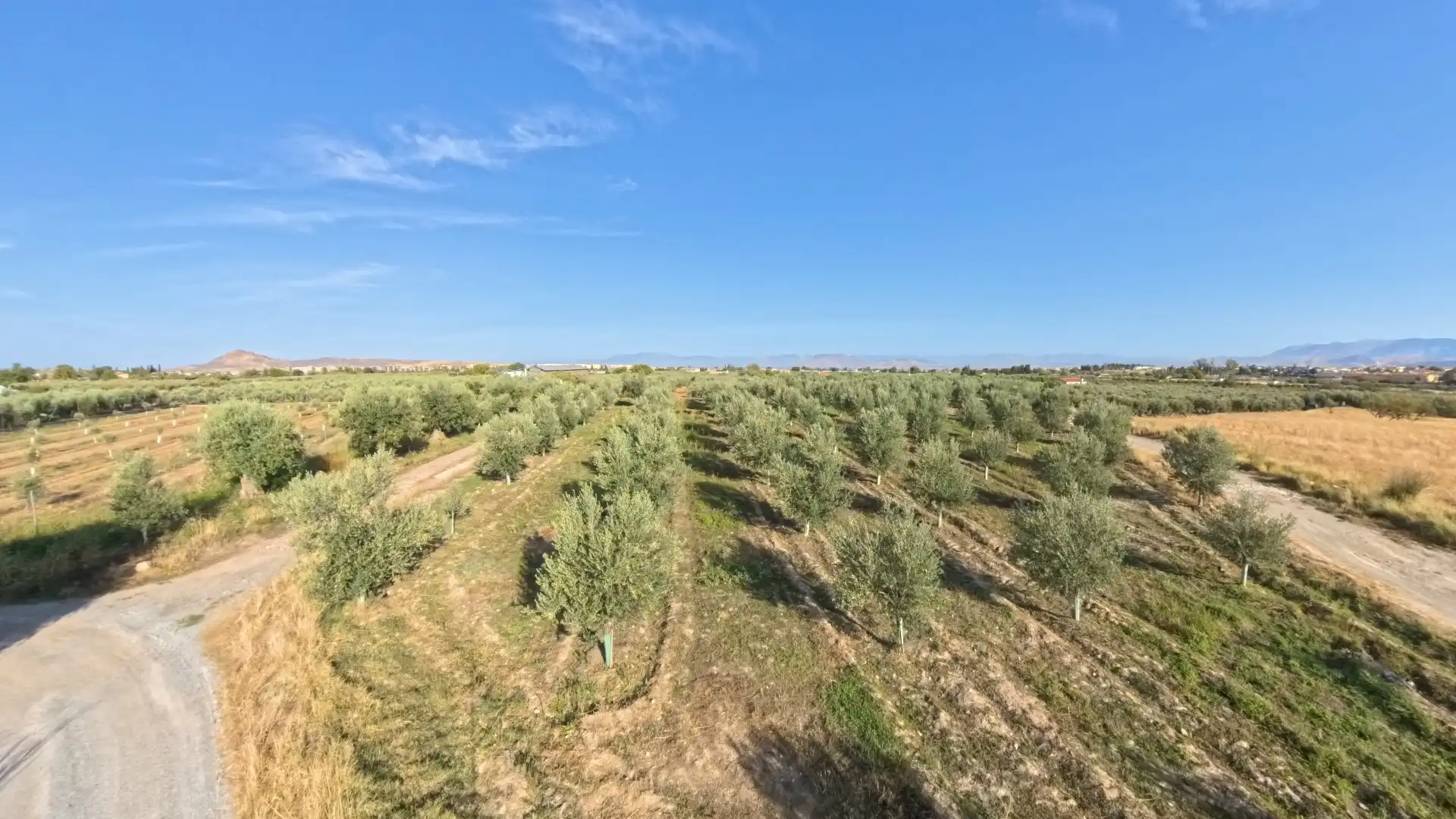 Terreni e lotti in vendita a Villa de Otura, imagen 20