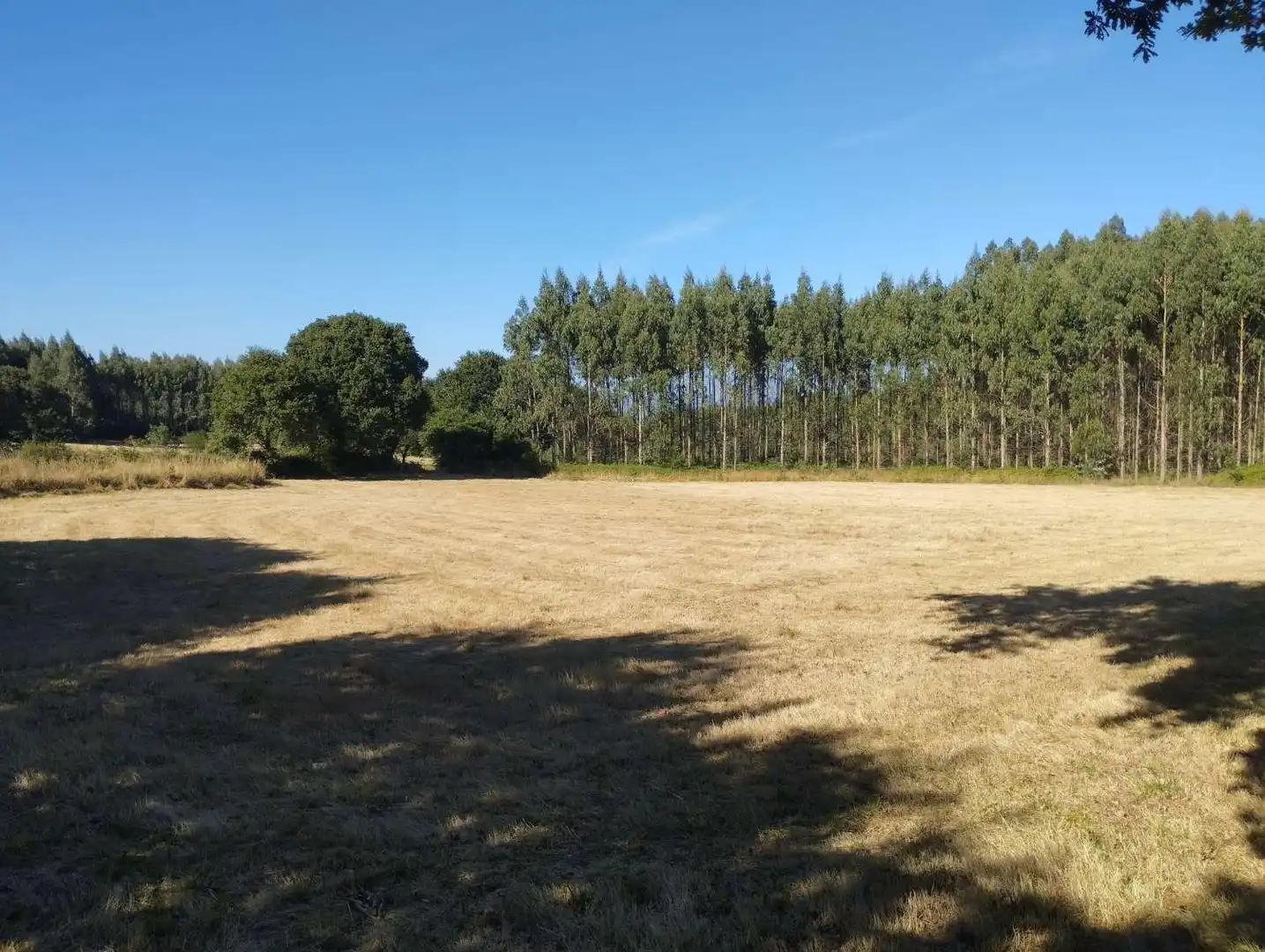 Terreni e lotti in vendita a Begonte