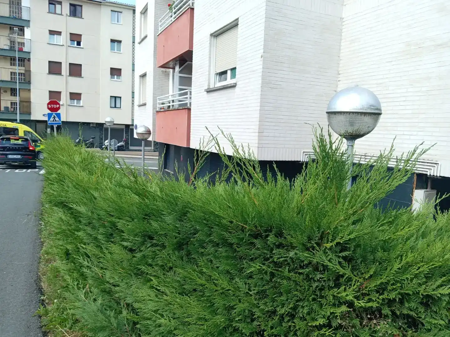 Exterior view of Flat for sale in Donostia - San Sebastián 