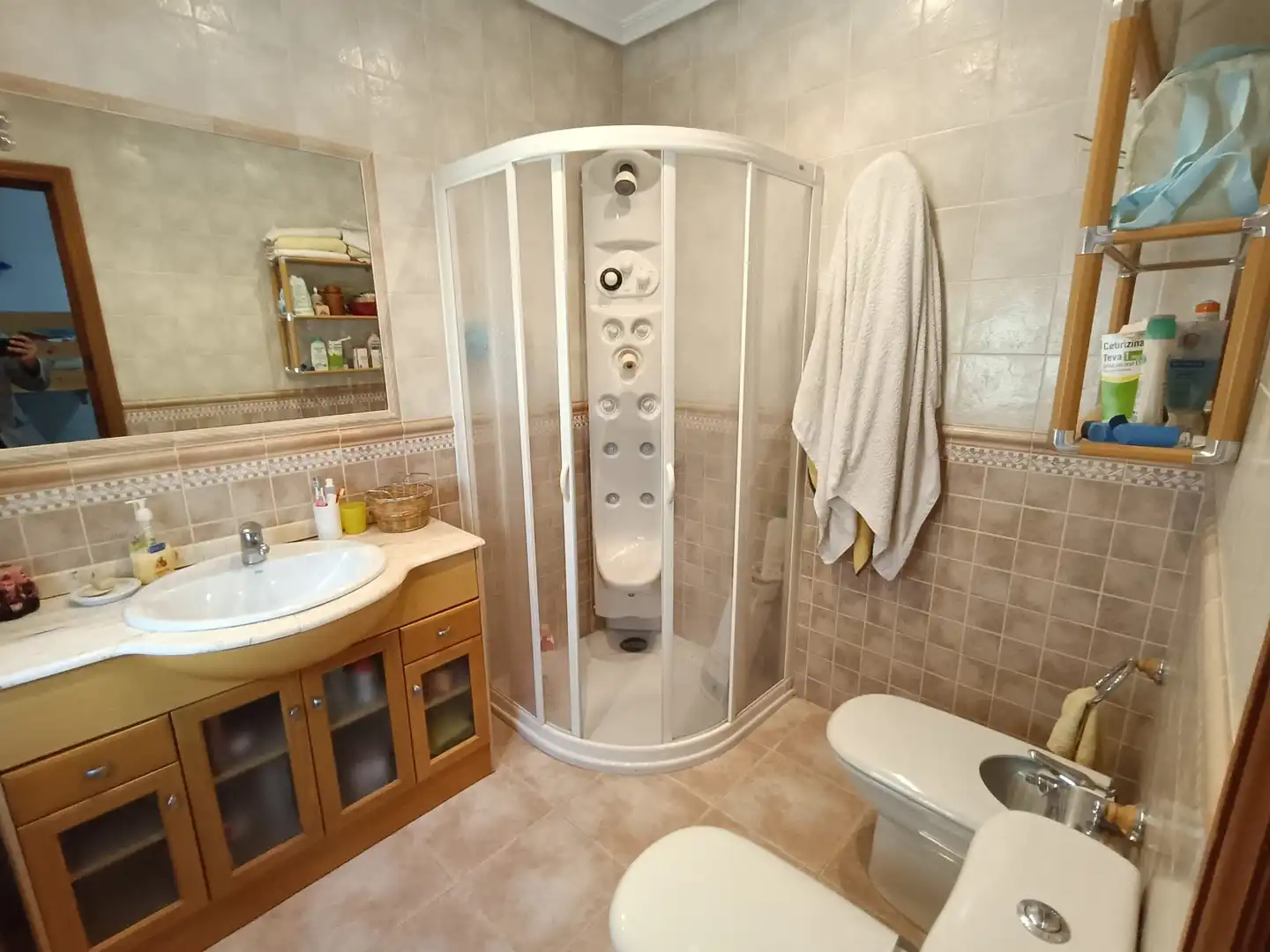 Baño de Casa o chalet en venta en Ciudad Real con Aire acondicionado, Jardín privado y Piscina