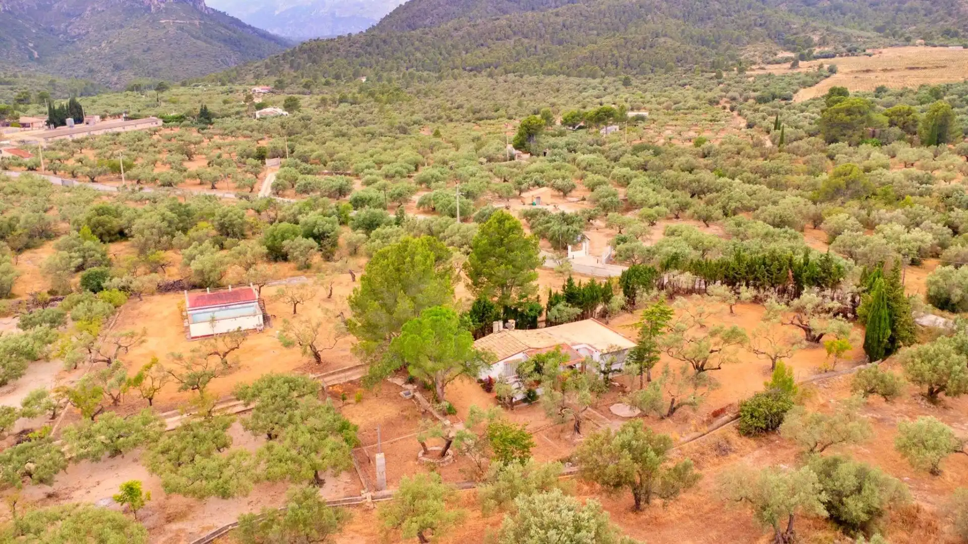 Casa o xalet en venda en Tortosa amb Jardí privat
