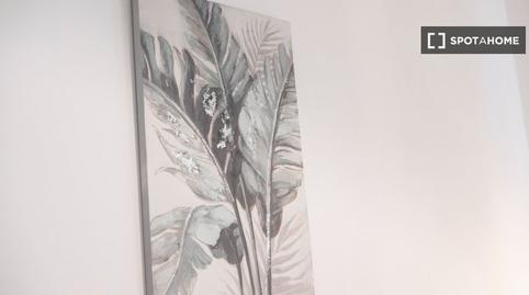 Foto 2 de Apartament per a compartir a La Salud, Santa Cruz de Tenerife