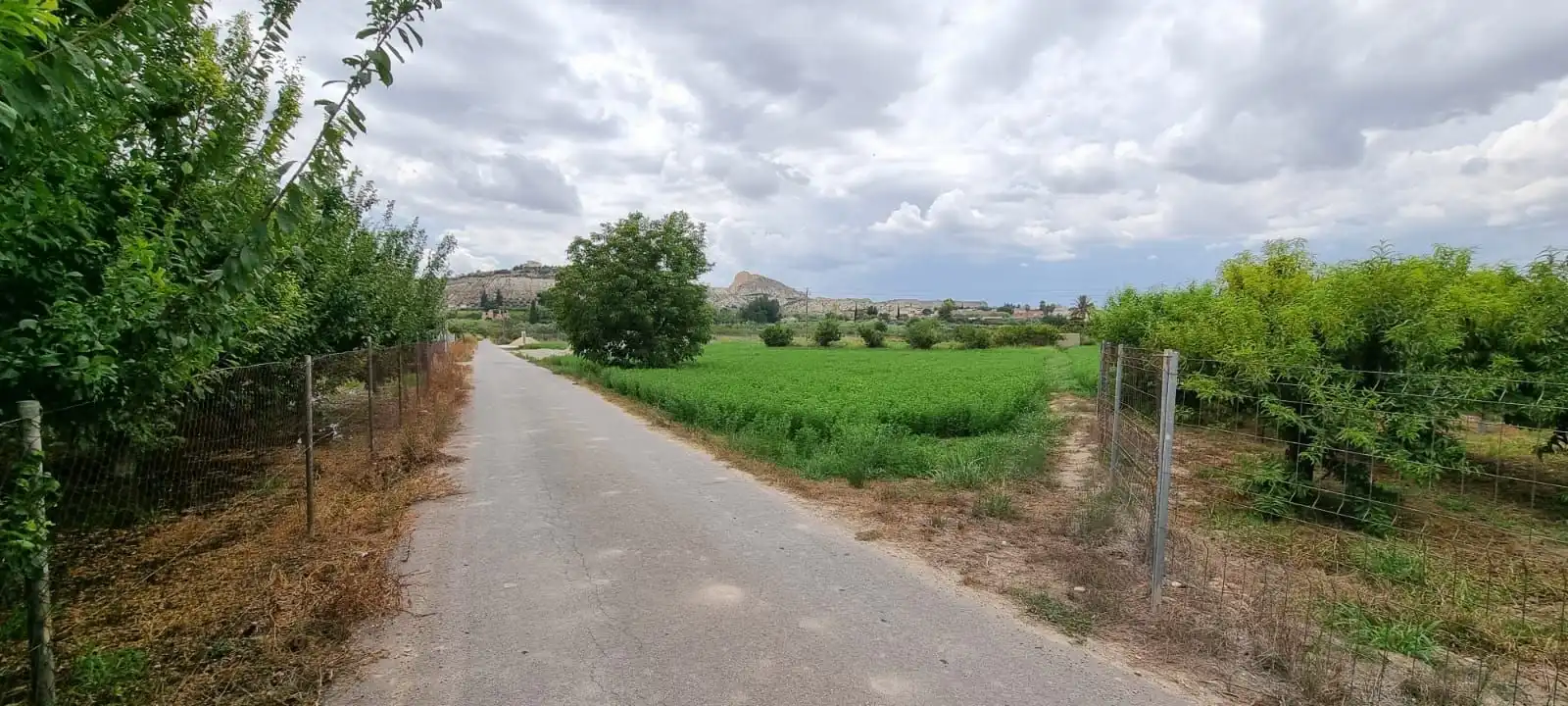 Terreny rústic en venda a Paraje Pullas, las, imagen 4