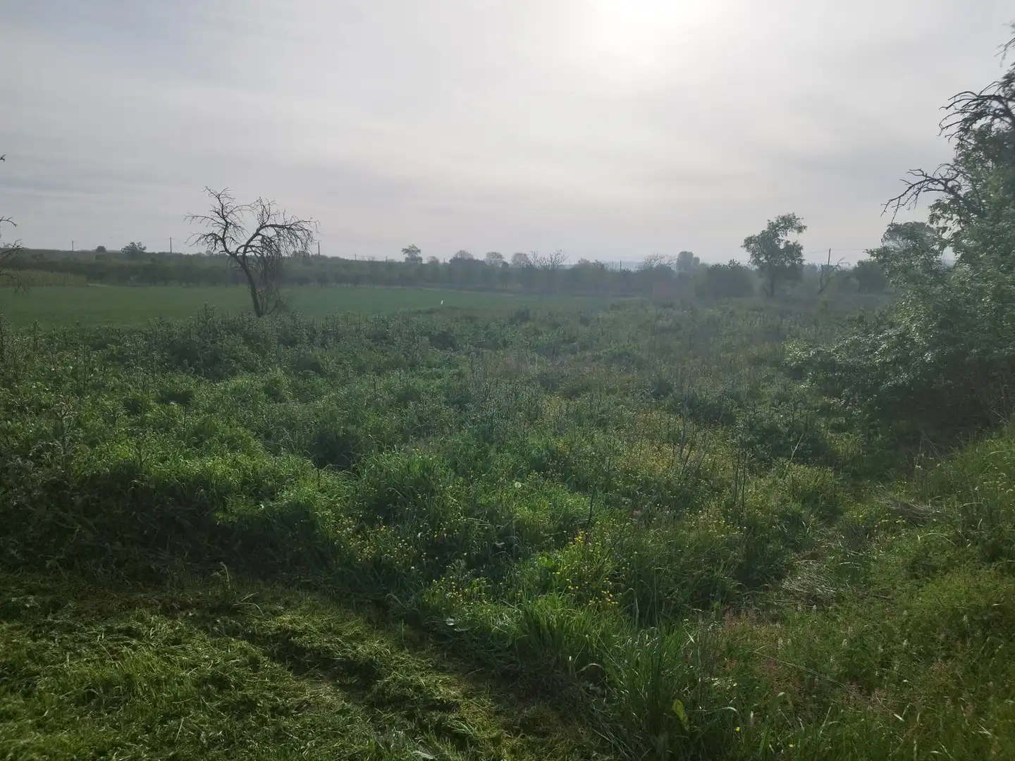 Finca rústica en venda en Castelldans