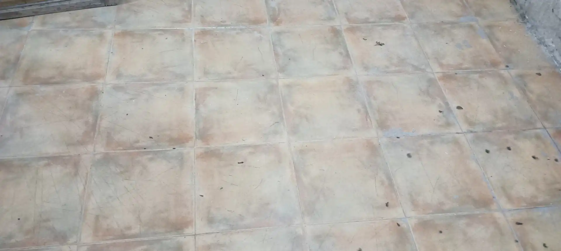 Casa rústica amb jardí en venda a Pedanías Oeste, imagen 3