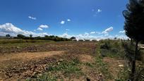 Finca rústica en venda en Los Palacios y Villafranca