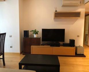 Living room of Flat to rent in  Madrid Capital  with Terrace and Furnished