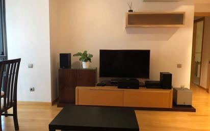 Living room of Flat to rent in  Madrid Capital  with Terrace and Furnished