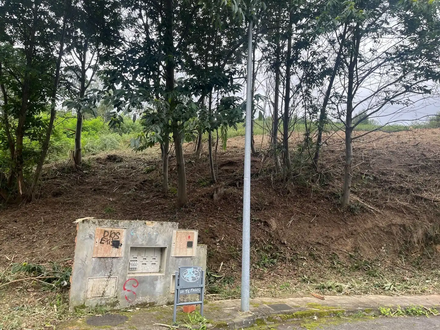 Terrenos y solares en venta en Caxidi, imagen 5
