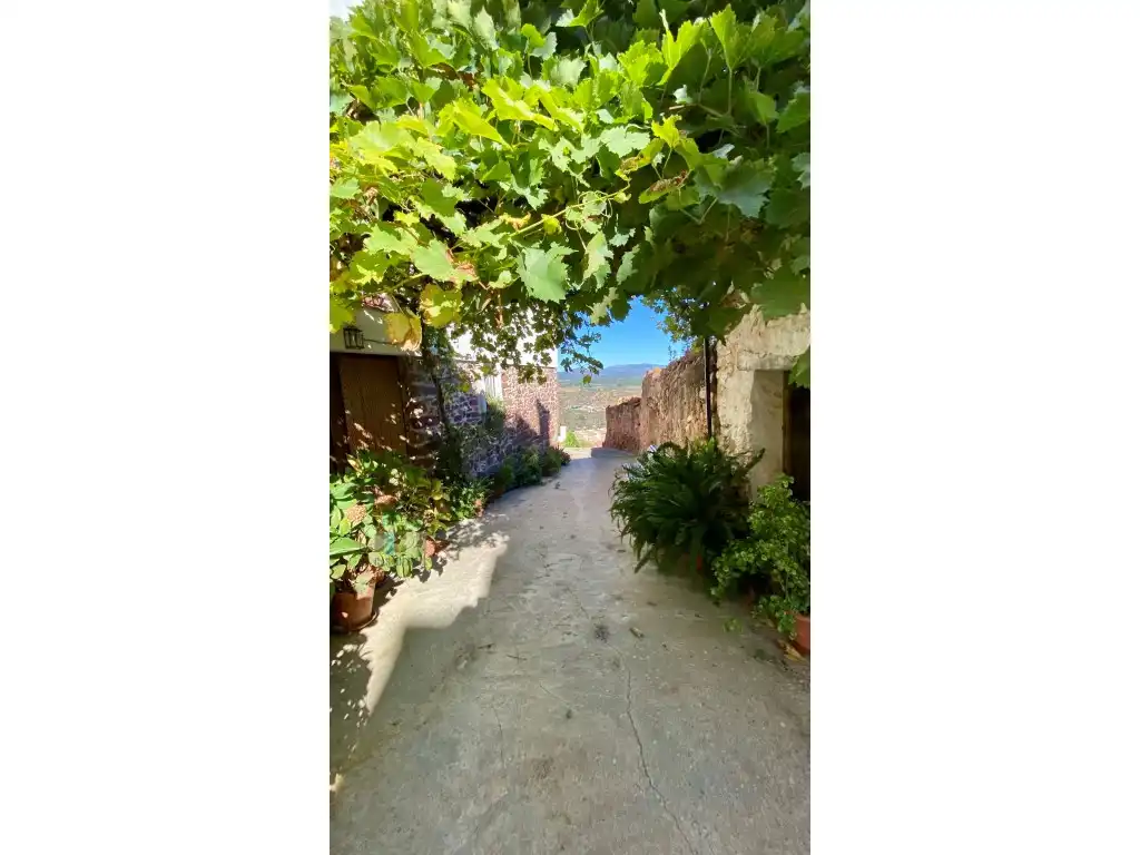 Haus zum Verkauf in Carrer Paseo, imagen 34