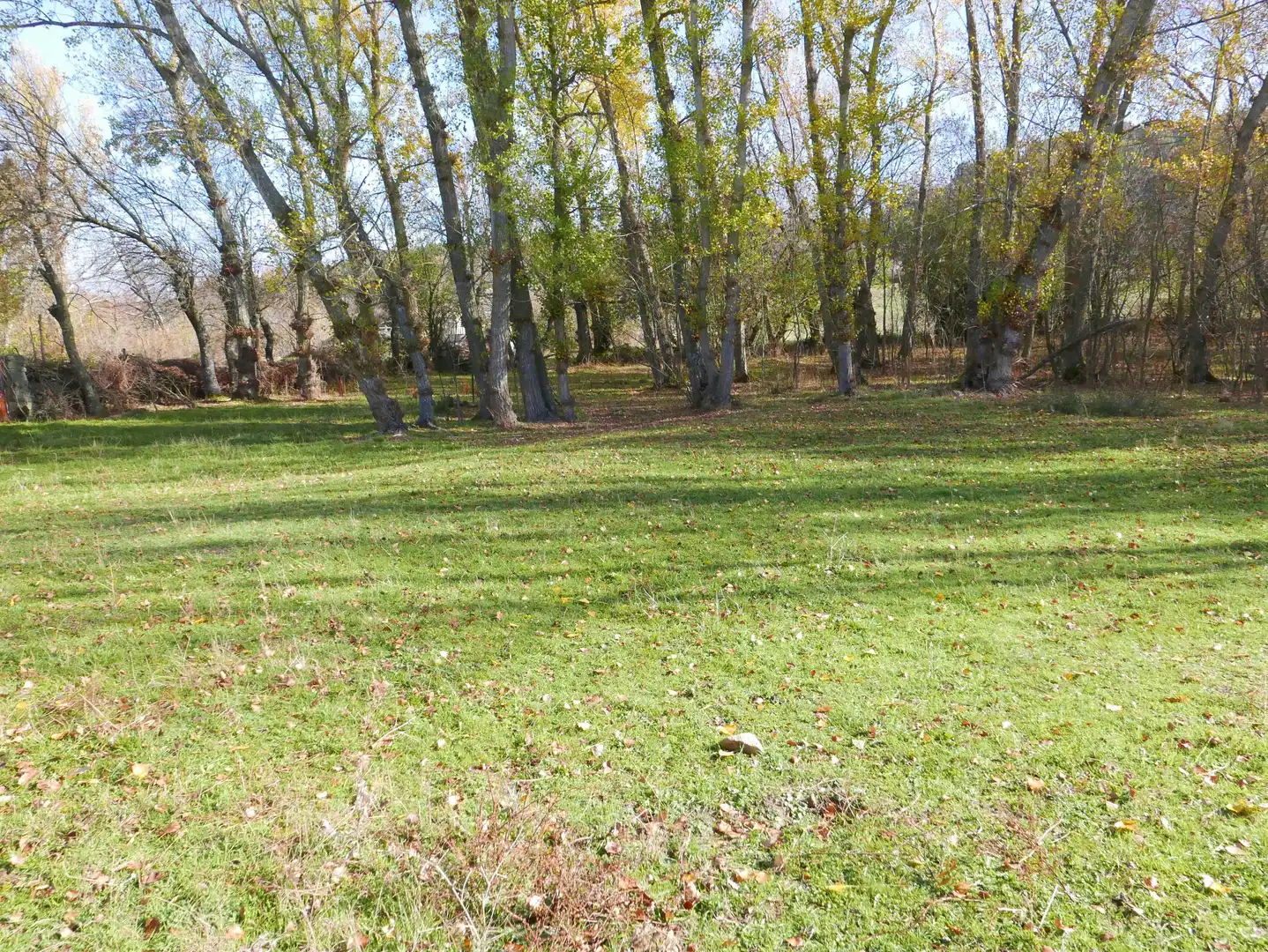 Land for sale in Santo Tomé del Puerto