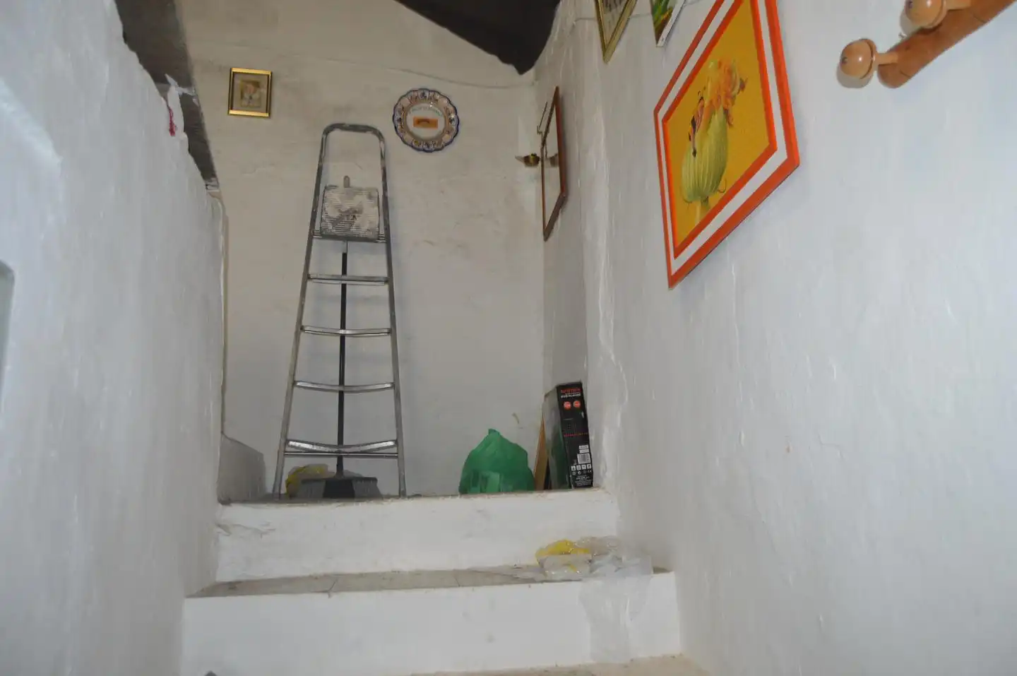 Country homes for sale in Plaza Del Parador,, Saelices