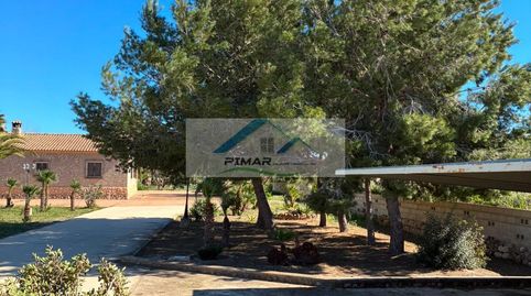 Foto 4 de Casa o xalet en venda a Pedanías Este, Aspe