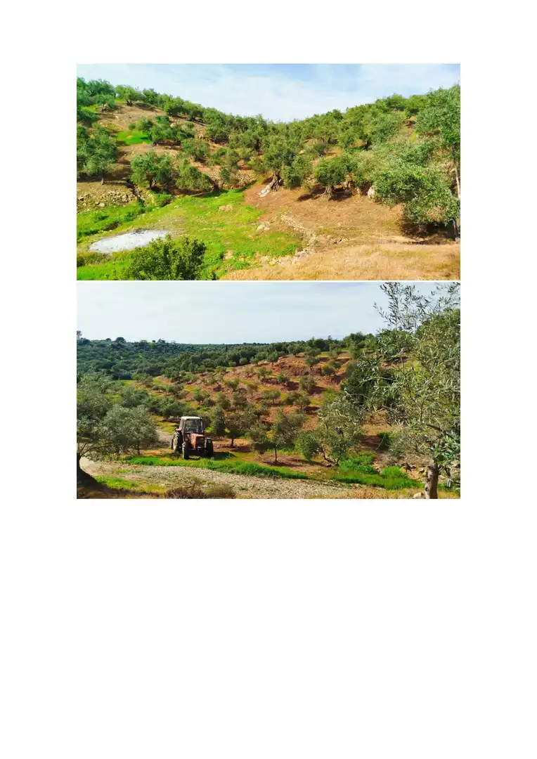 Terreno en venta en Hornachuelos