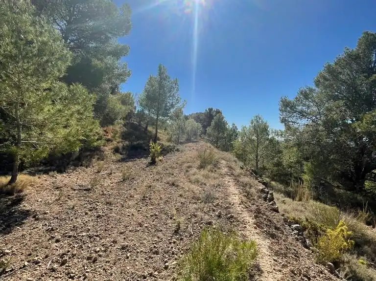 Rural land for sale in Finestrat Pueblo, imagen 8