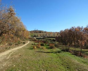 Finca rústica en venda en Jarandilla de la Vera amb Jardí privat, Terrassa i Traster