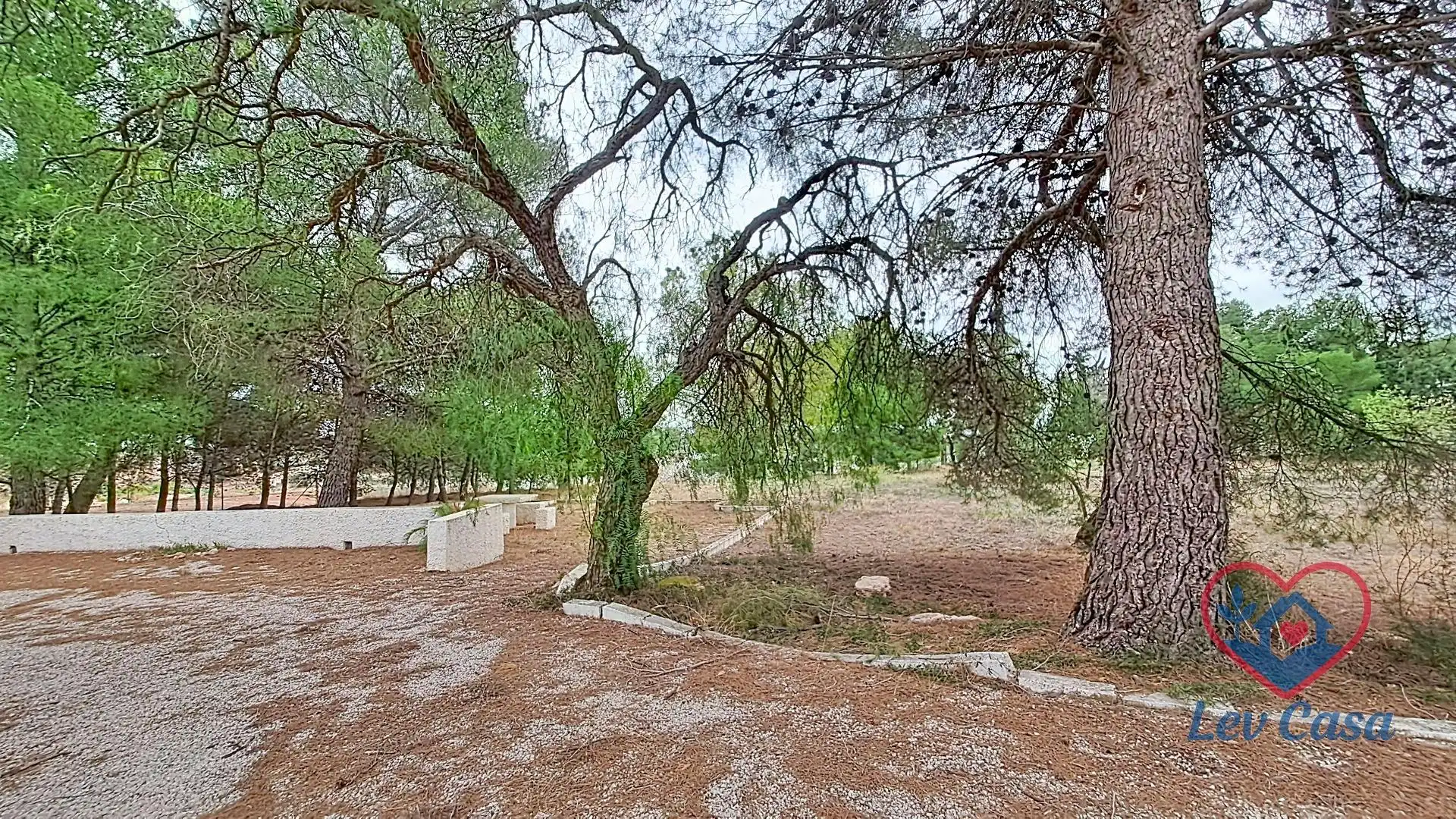 Casa en venda a Aledo, imagen 5