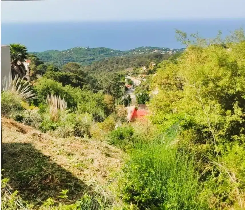 Terrenos y solares en venta en Serra Brava, imagen 4