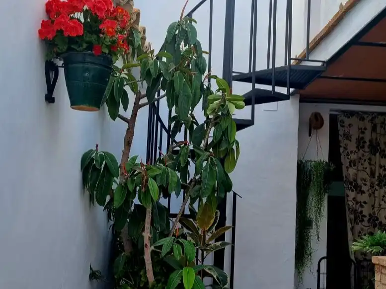 Maison rustique avec jardin à vendre à Calle Cerrillo 31, imagen 38