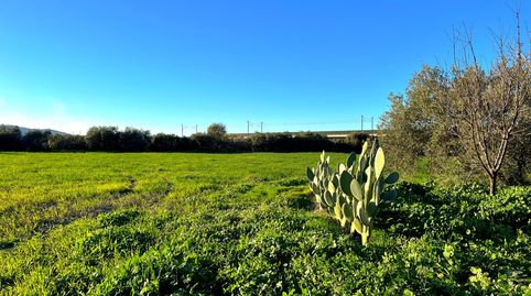 Foto 3 de Casa o chalet en venta en Bobadilla - Bobadilla Estación - La Joya, Antequera