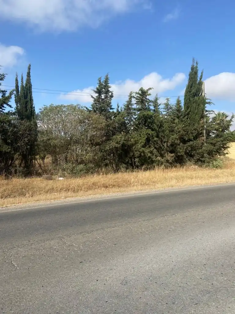 Terrenys i solars en venda a Vista Azul - Consolación