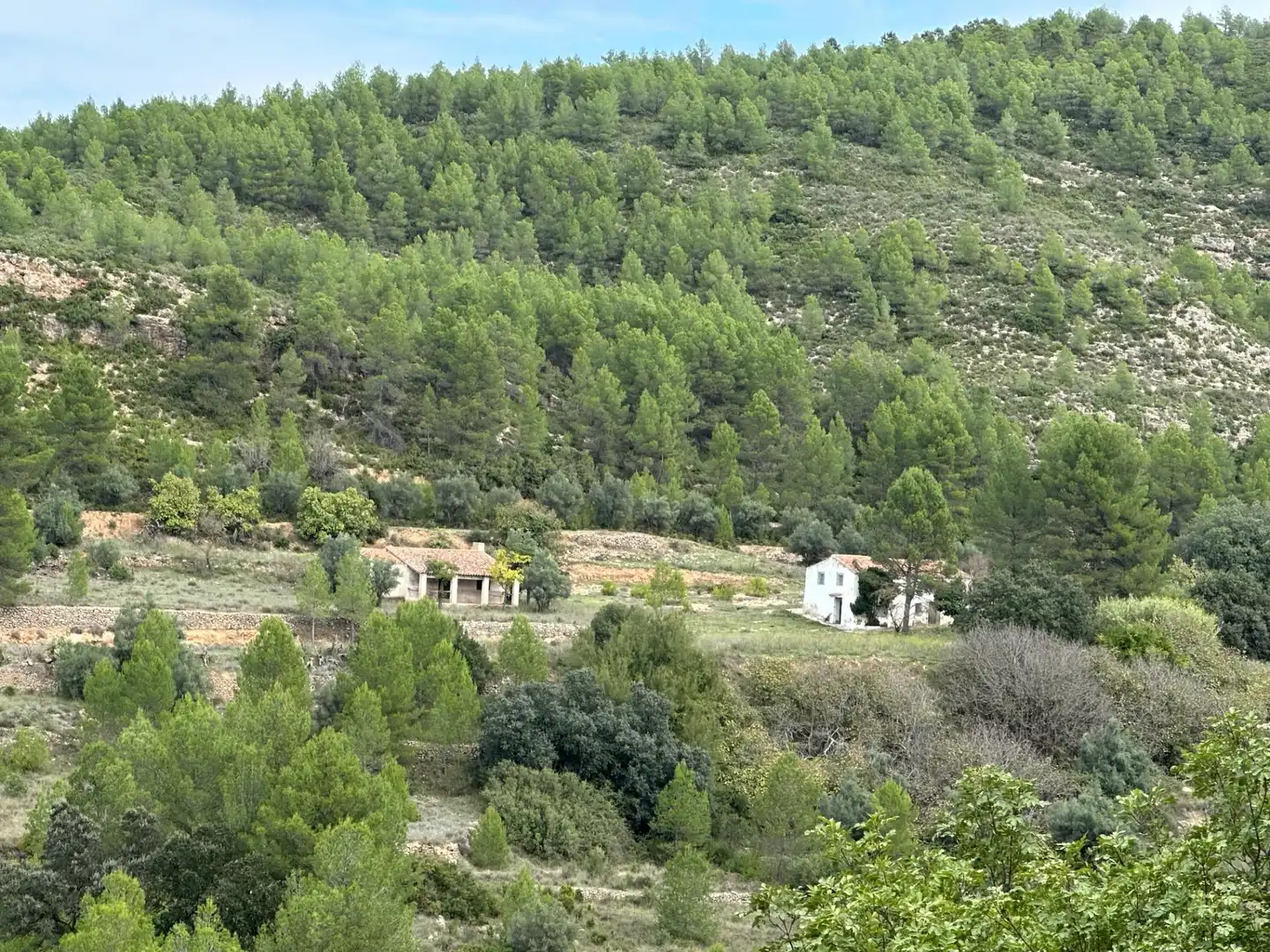 Finca rústica en venta en Enguera