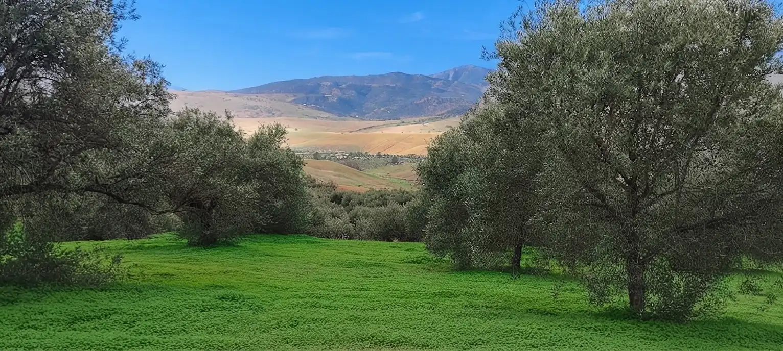 Terreni e lotti in vendita a Diseminado Poligono, imagen 5