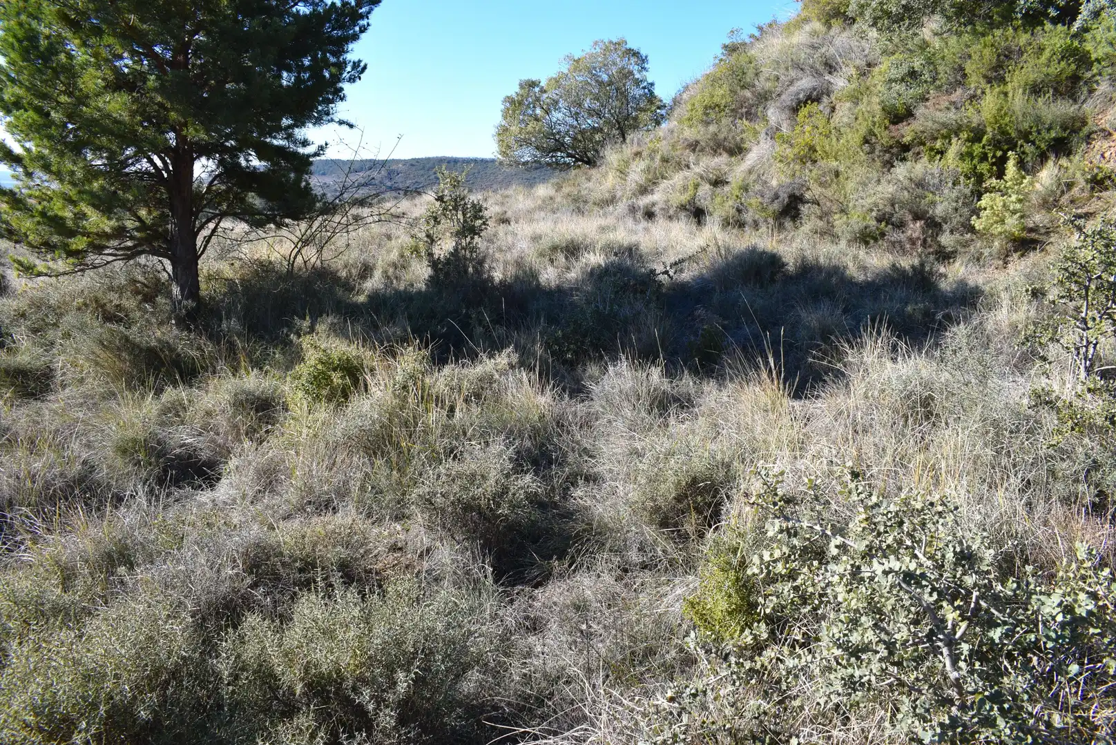 Residencial en venta en Nueno