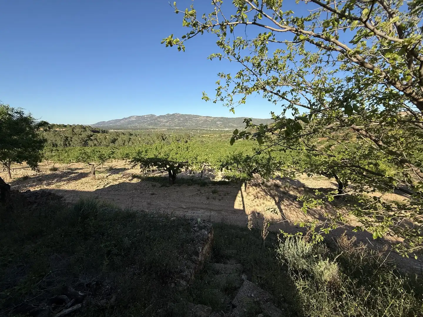 Grundstücke zum Verkauf in Useras /  Les Useres, Castellón
