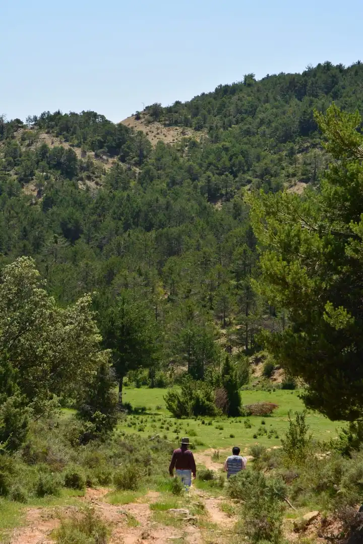 Casa o chalet en venta en San Miguel del Cinca