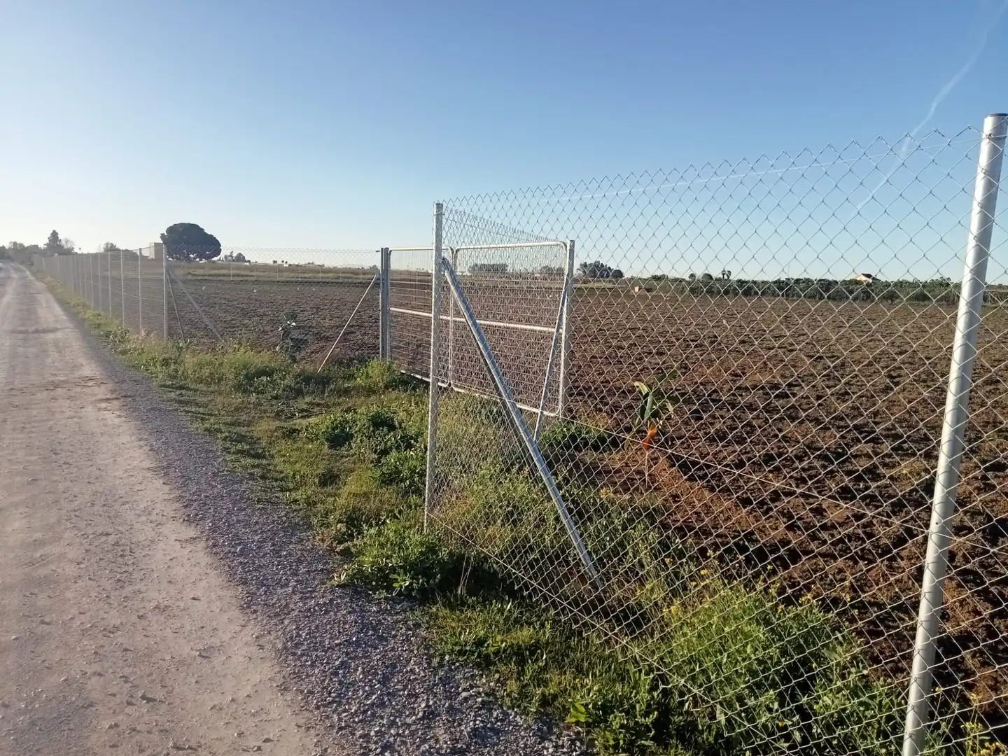 Rustikales Grundstück zum Verkauf in Los Palacios y Villafranca, imagen 9