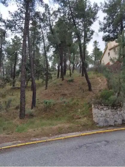 Lands and plots for sale in Vegas de Matute