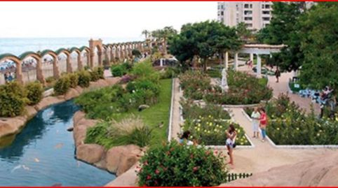 APARTAMENTO 2 DORMITORIOS CON PISCINA GARAGE Y TRASTERO, imatge 3