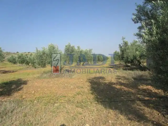 Casa rústica en venda a Valdepeñas, imagen 5