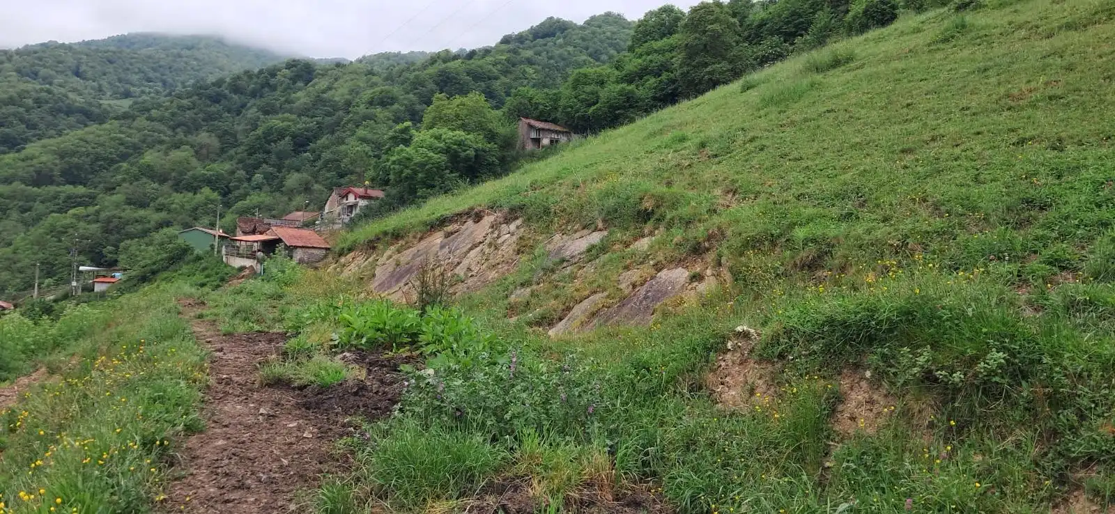 Lands and plots for sale in Lena, imagen 2
