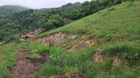 FINCA DE 30.000M2 CON CASA Y CUADRAS, immagine 2