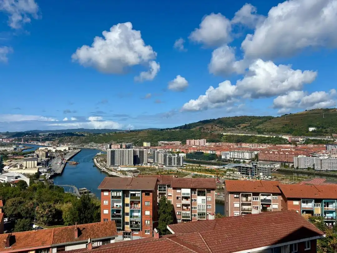 Flat with lift for sale in Grupo Mendigain Etxaldea, imagen 28
