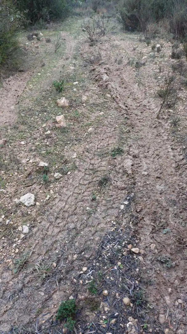 Grundstücke zur Miete in Loranca de Tajuña