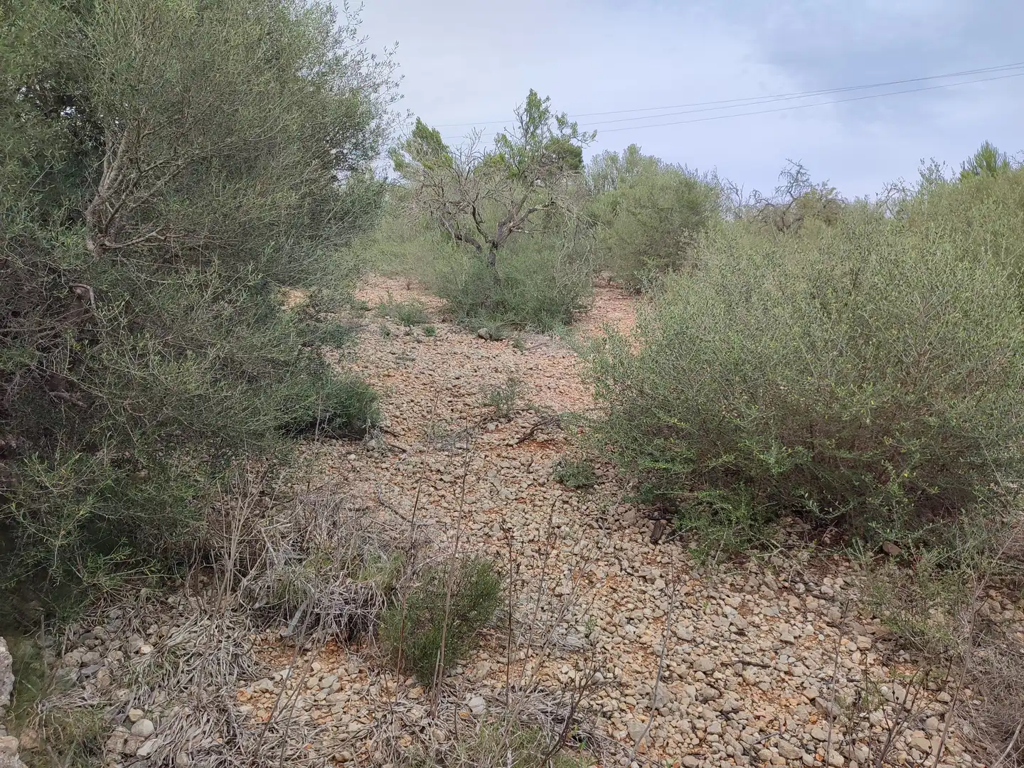 Terrain rustique à vendre à Sant Joan, imagen 2