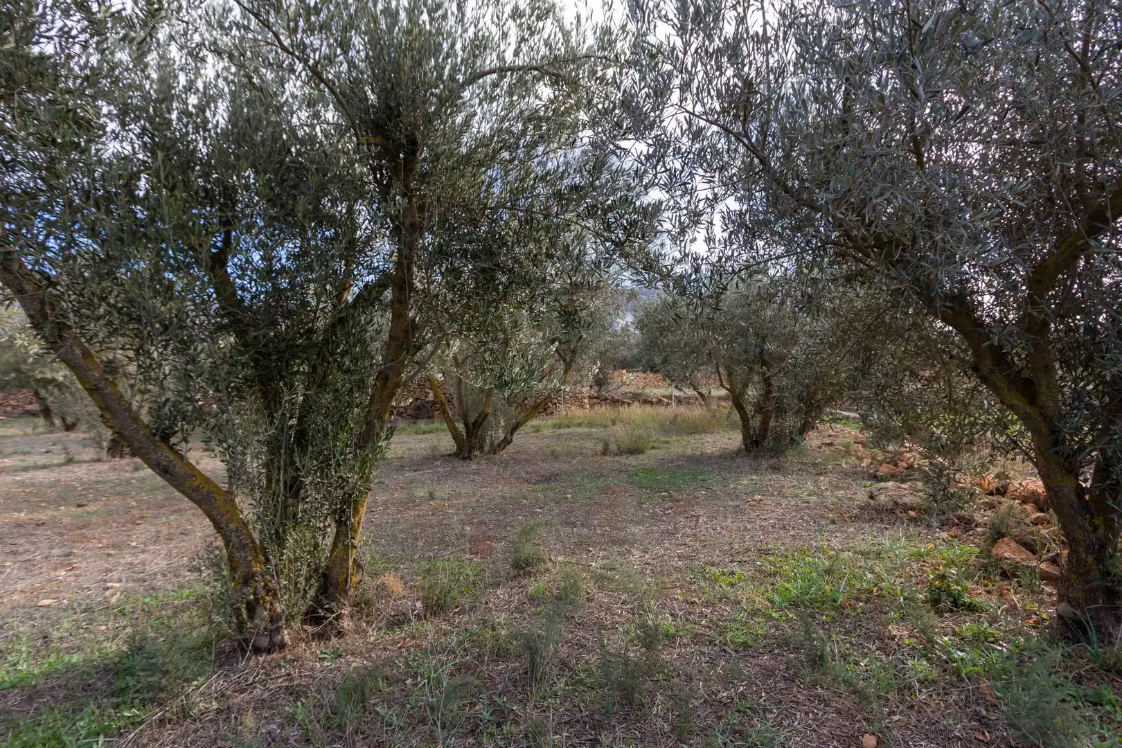 Country house zum Verkauf in Dúrcal mit Privatgarten und Terrasse