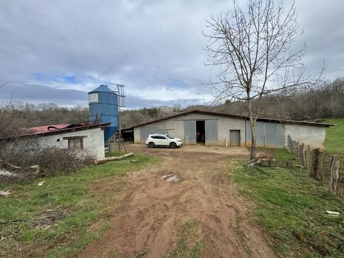 Vista exterior de Nau industrial en venda en Onís