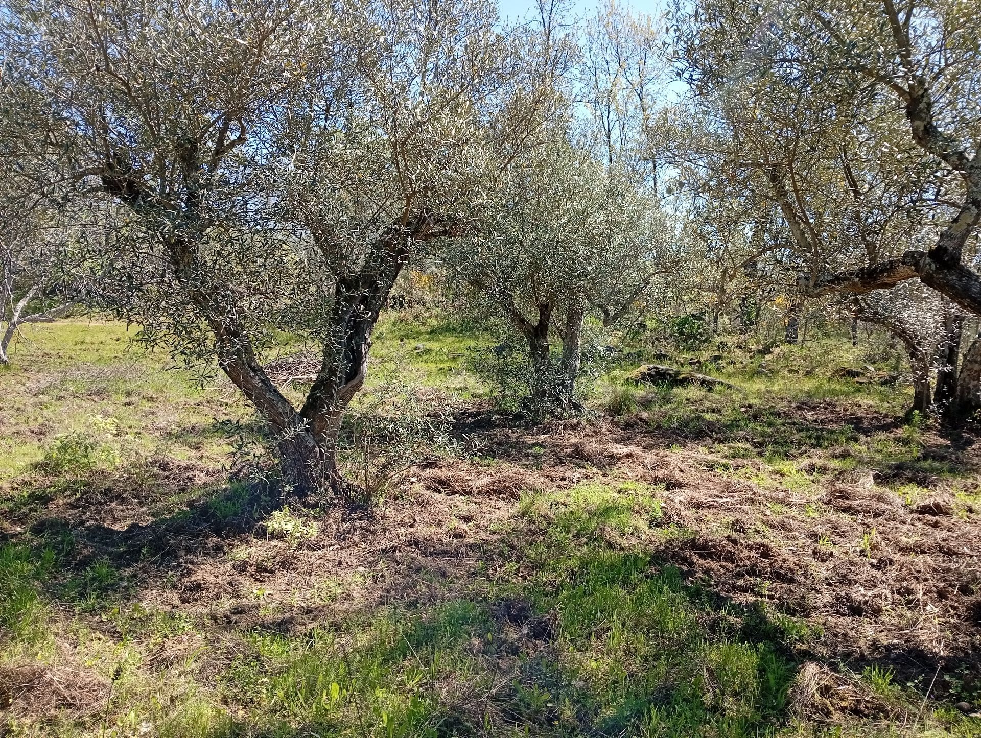 Residencial en venda en Valverde de la Vera
