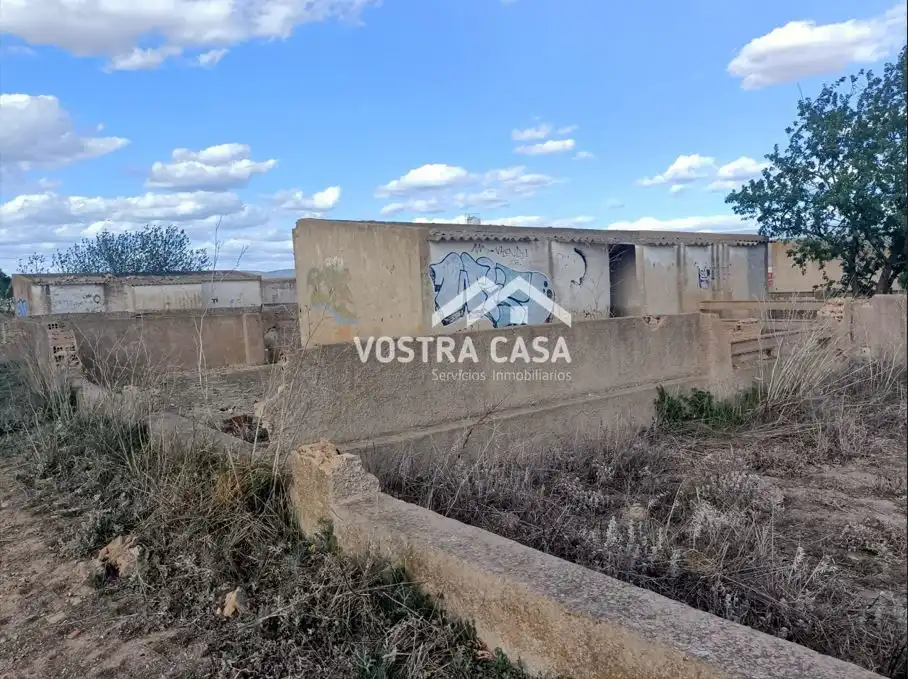 Terreny rústic en venda a PARAJE DE LA CERCA, imagen 18