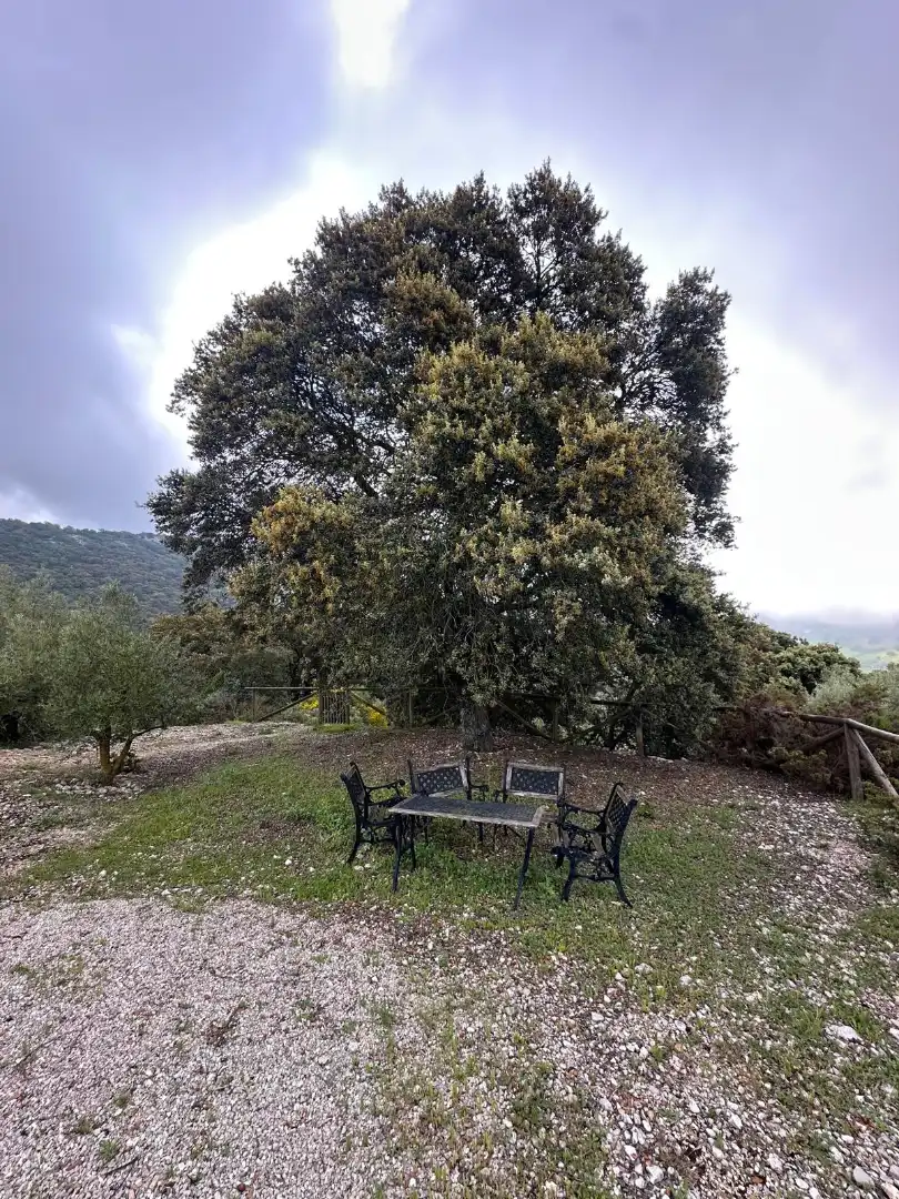 Terreni e lotti in vendita a Alfarnate, imagen 48
