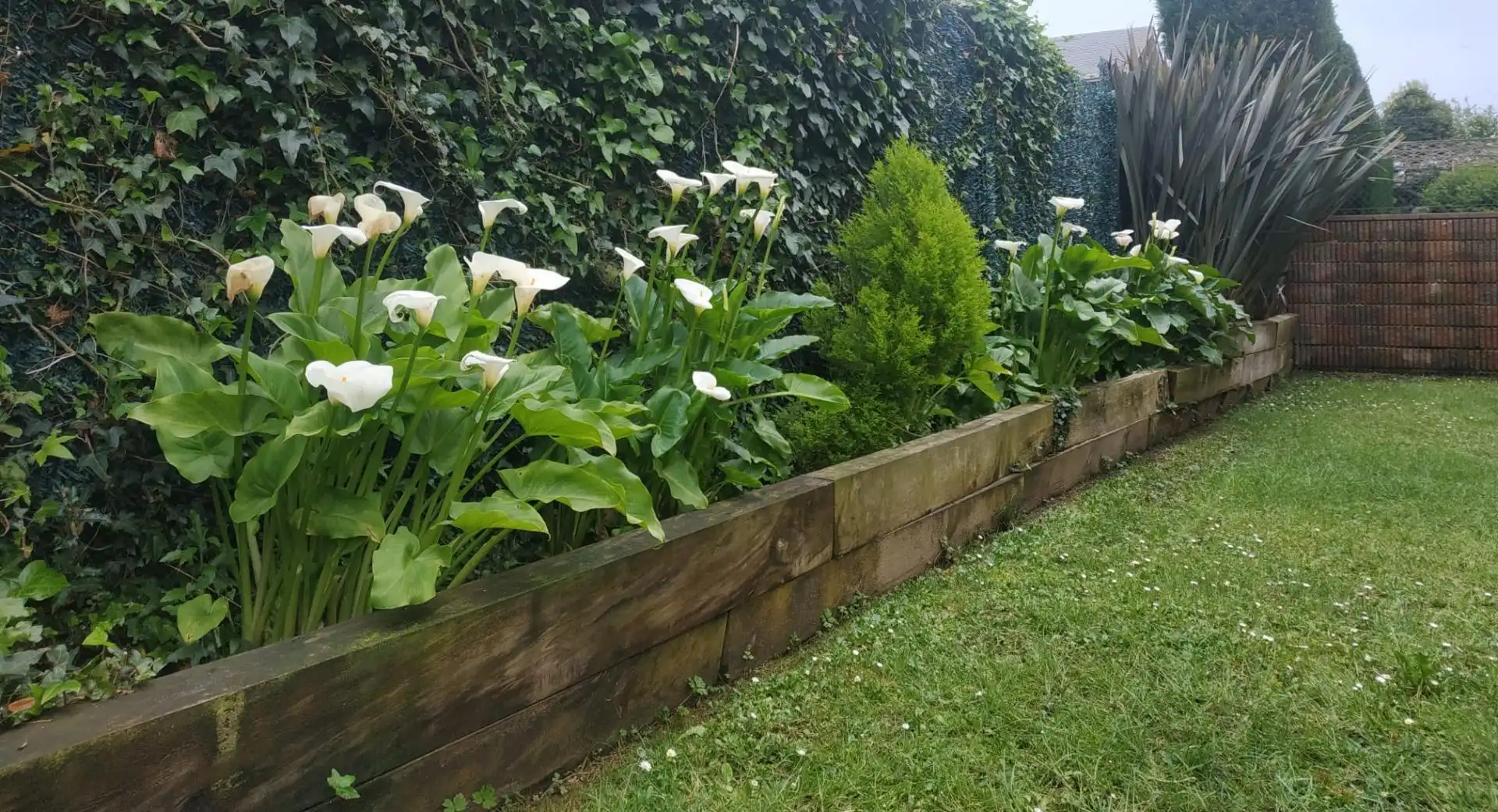 Villa mit Garten zum Verkauf in Urbanización Pinamar 7, imagen 47